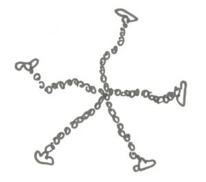 Jurten-5-Strang-Spinne
