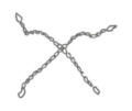 Kohten-4-Strang-Spinne