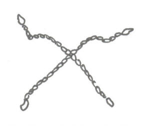 Kohten-4-Strang-Spinne