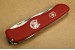 Victorinox Equestrian rot Schweizer Taschenmesser fr Reiter