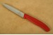 Victorinox Gemsemesser Nylon rot mit 10,0 cm Klinge