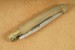 Antonini Taschenmesser Pattada Corno