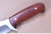 Beretta Drop hunter Jagdmesser mit Cocobolo-Griffschalen