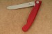 vx6.7801.fb-victorinox-swiss-classic-faltbares-gemuesemesser-rot-01.jpg