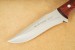 Muela Messer Pointer