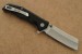 Buck Einhandmesser TRUNK 252 schwarz