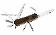 11709329-large.jpg