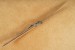 Deejo Einhandmesser 37g Wacholder