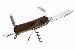 11009329-large.jpg