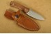 Lionsteel Outdoormesser M4 Santos