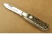 Puma Jagd-Taschenmesser mit Back-Lock mit Sge, Aufbrechklinge und Hirschhorn-Griffschalen