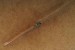 Deejo Taschenmesser Jungle 37G Wacholderholz