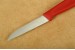 Victorinox Gemsemesser Nylon rot mit 8,0 cm Klinge