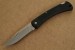 Buck Taschenmesser FOLDING HUNTER LT