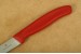 Victorinox Gemsemesser Nylon rot mit 10,0 cm Klinge