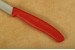 Victorinox Gemsemesser Nylon rot mit 8,0 cm Klinge