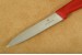 Victorinox Gemsemesser Nylon rot mit 10,0 cm Klinge