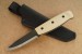 Morakniv Wit BlackBlade (S) Ash Wood Produktbild