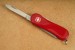 Wenger Schweizer Messer "Mini Evolution 81" mit Geschenkbox