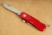 Wenger Schweizer Messer Kindermesser Junior 08 + feststellbarer Klinge