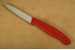 Victorinox Gemsemesser Nylon rot mit 8,2 cm Klinge