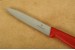 Victorinox Gemsemesser Nylon rot mit 10,0 cm Klinge