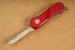 Wenger Schweizer Messer "Mini Evolution 81" mit Geschenkbox