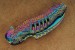 Herbertz Einhandmesser Skelett Rainbow