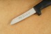 Frosts Messer 4085PAM Paring Knife Morakniv