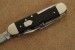 Hartkopf Milit�r-Taschenmesser Ebenholz mit Neusilber-Backen und Holzbox