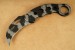 hz106113-smith-and-wesson-extreme-ops-karambit-einhandmesser-01-big.jpg