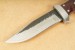 Herbertz G�rtelmesser 81 Lagen Damast Gerbeiche-Griff