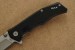 Buck Einhandmesser TRUNK 252 schwarz