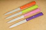 hz254225-opinel-messer-set-bon-appetit-esprit-pop-01-smal.jpg