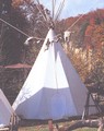 tipi-medium.jpg