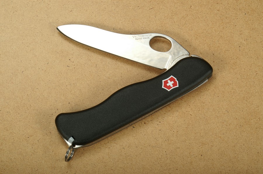 Victorinox Schweizer Taschenmesser Sentinel One Hand 0.8413.M3 kaufen
