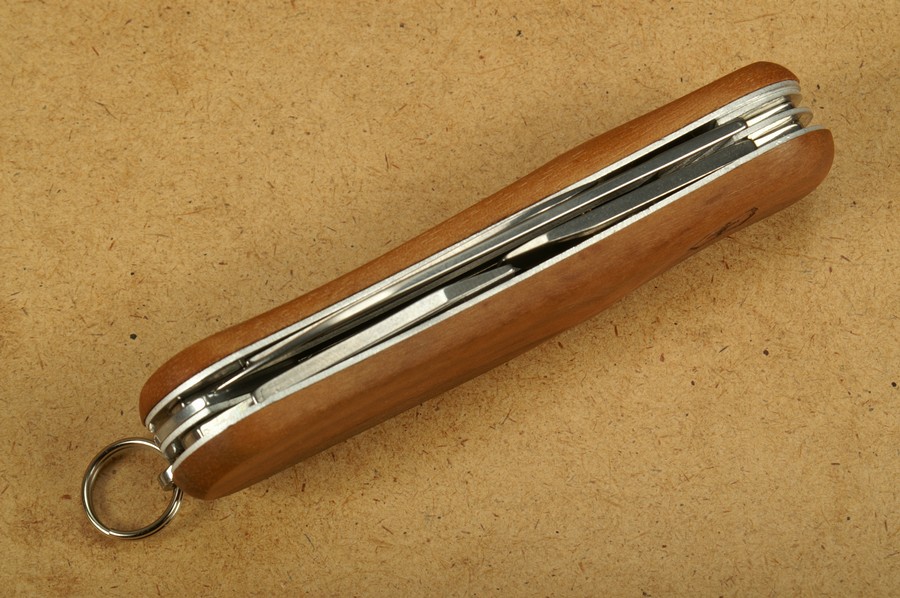 Evolution wood 10 hotsell
